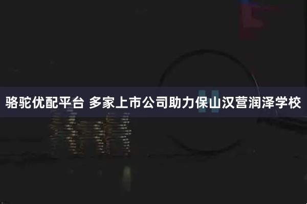 骆驼优配平台 多家上市公司助力保山汉营润泽学校