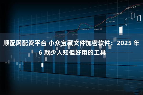 顺配网配资平台 小众宝藏文件加密软件：2025 年 6 款少人知但好用的工具
