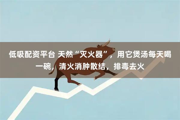 低吸配资平台 天然“灭火器”，用它煲汤每天喝一碗，清火消肿散结，排毒去火