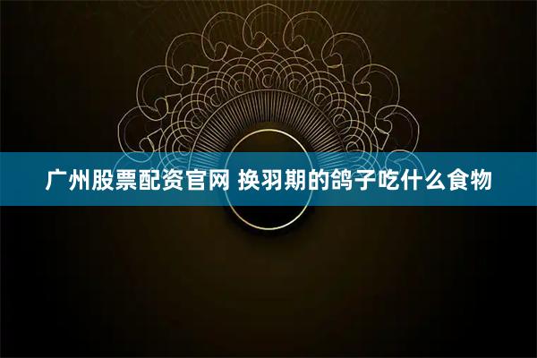 广州股票配资官网 换羽期的鸽子吃什么食物